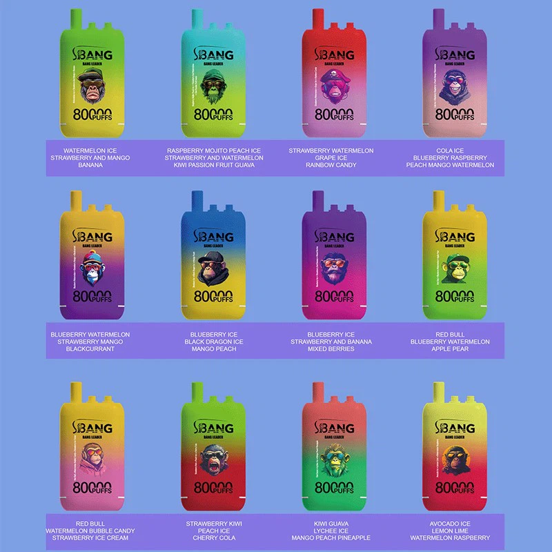 BANG LEADER 80000 Vdihov 3v1 Vape Enokraten